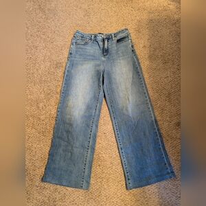 Quince Curvy Bella Stretch Light Blue High-Rise Wide-Leg Jeans Size 28